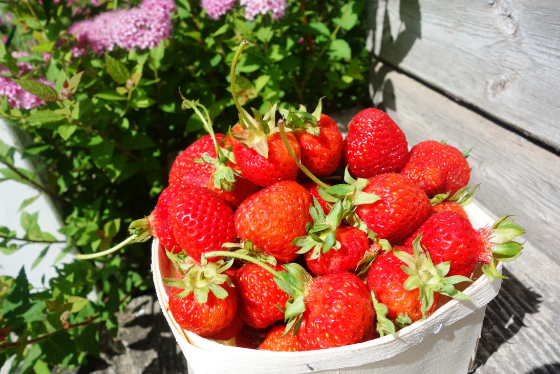 Strawberries