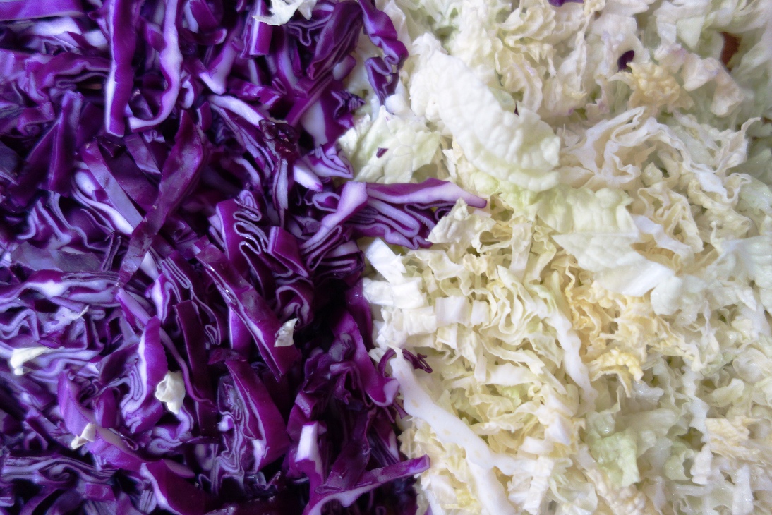 Red cabbage and Chinese cabbage