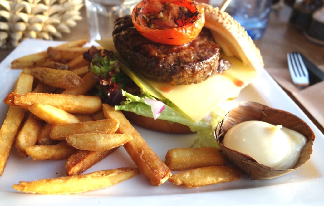 Burger with fries